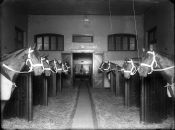 Biblioteca Nacional de Argentina