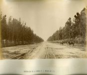 Biblioteca Nacional de Argentina