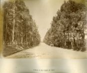 Biblioteca Nacional de Argentina