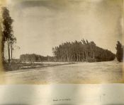 Biblioteca Nacional de Argentina