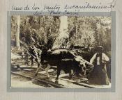 Biblioteca Nacional de Argentina