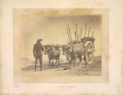 Biblioteca Nacional de Brasil