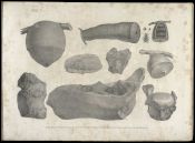 Biblioteca Nacional de Brasil