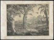 Biblioteca Nacional de Brasil