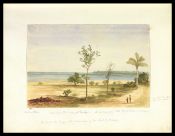 Biblioteca Nacional de Brasil