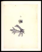 Biblioteca Nacional de Brasil