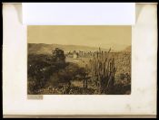 Biblioteca Nacional de Brasil