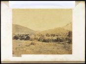 Biblioteca Nacional de Brasil