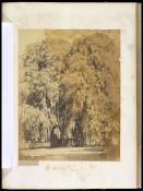 Biblioteca Nacional de Brasil