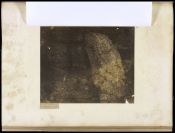 Biblioteca Nacional de Brasil