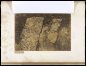 Biblioteca Nacional de Brasil