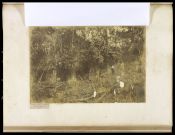 Biblioteca Nacional de Brasil