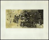 Biblioteca Nacional de Brasil