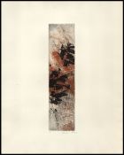 Biblioteca Nacional de Brasil