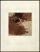 Biblioteca Nacional de Brasil