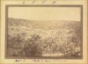 Biblioteca Nacional de Brasil