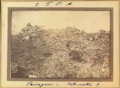 Biblioteca Nacional de Brasil