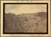 Biblioteca Nacional de Brasil