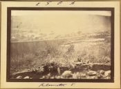 Biblioteca Nacional de Brasil