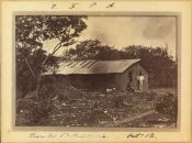 Biblioteca Nacional de Brasil