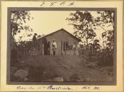 Biblioteca Nacional de Brasil