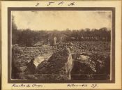 Biblioteca Nacional de Brasil