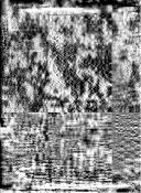 Biblioteca Nacional de Brasil