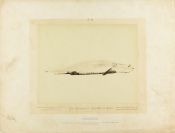 Biblioteca Nacional de Brasil