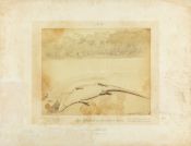 Biblioteca Nacional de Brasil