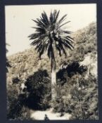Biblioteca Nacional de Chile