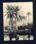 Biblioteca Nacional de Chile