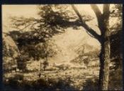 Biblioteca Nacional de Chile