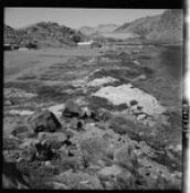Biblioteca Nacional de Chile