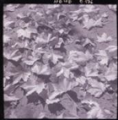 Biblioteca Nacional de Chile