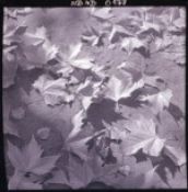 Biblioteca Nacional de Chile