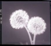 Biblioteca Nacional de Chile