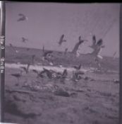 Biblioteca Nacional de Chile