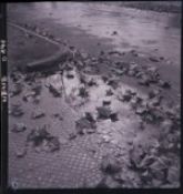 Biblioteca Nacional de Chile