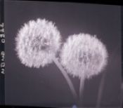 Biblioteca Nacional de Chile