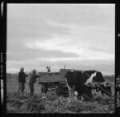 Biblioteca Nacional de Chile