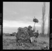 Biblioteca Nacional de Chile