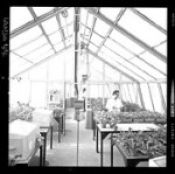 Biblioteca Nacional de Chile