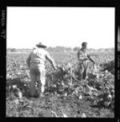 Biblioteca Nacional de Chile