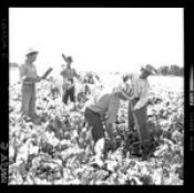 Biblioteca Nacional de Chile