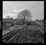 Biblioteca Nacional de Chile