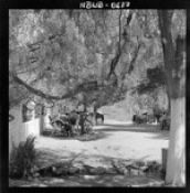 Biblioteca Nacional de Chile