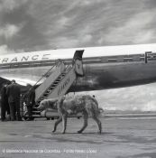 Biblioteca Nacional de Colombia