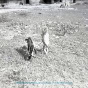 Biblioteca Nacional de Colombia