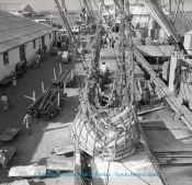 Biblioteca Nacional de Colombia