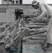 Biblioteca Nacional de Colombia